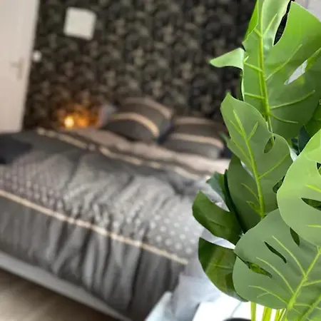 Apartament Studio Wifi Netflix 16M2 Suitehome Cassel 1 Roubaix